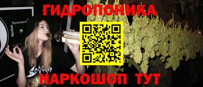 стаф Ирбит