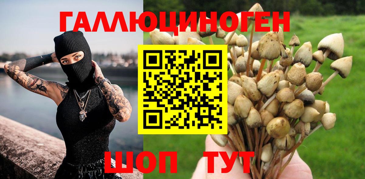 Ишимбай  Псилоцибиновые грибы мицелий  Галлюциногенные грибы MAGIC MUSHROOMS  Вход с VPN 